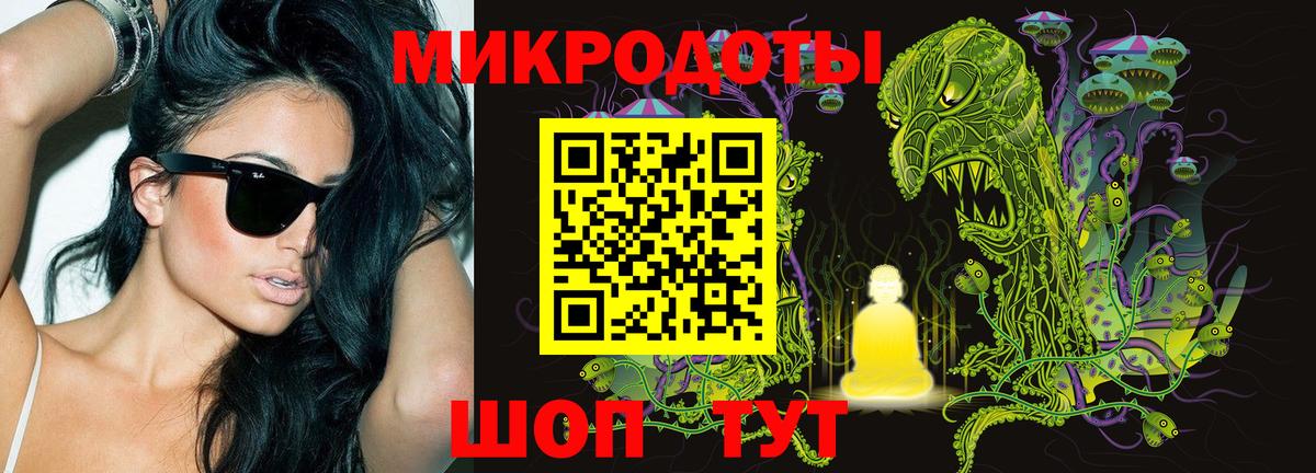 Псилоцибиновые грибы Psilocybine cubensis Егорьевск